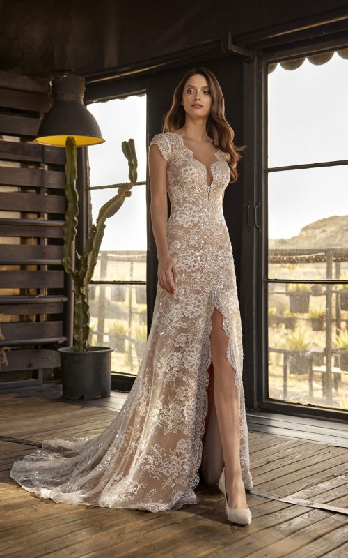 Libelle_Bellavista_Giusy_C_Afront_041_C_1252