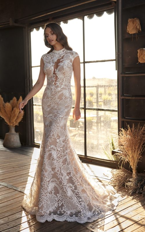 Libelle_Bellavista_Gloria_Afront_028_1682